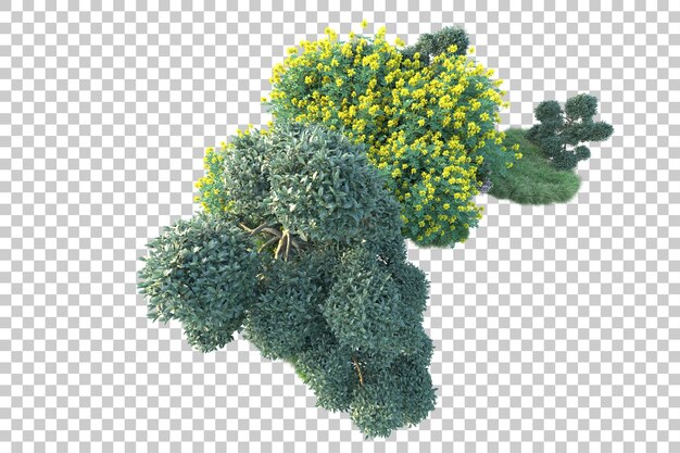 Paisaje verde aislado sobre fondo transparente ilustración de renderizado 3d