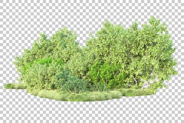 Paisaje verde aislado sobre fondo transparente ilustración de renderizado 3d