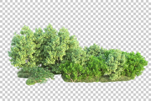 Paisaje verde aislado sobre fondo transparente ilustración de renderizado 3d