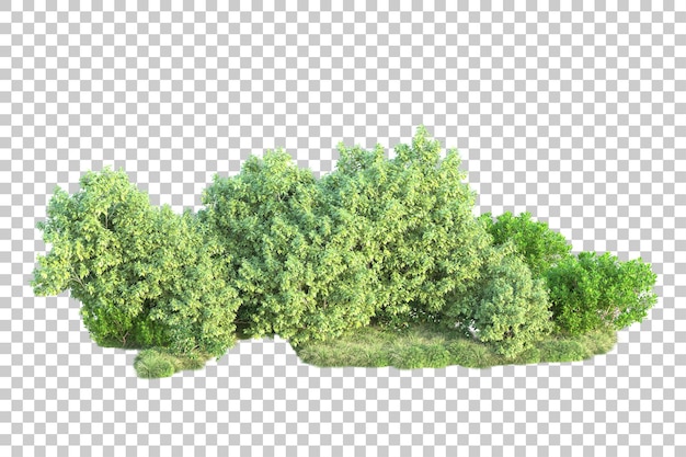 Paisaje verde aislado sobre fondo transparente ilustración de renderizado 3d