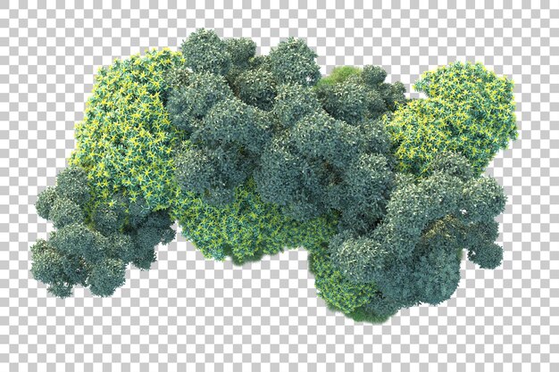 Paisaje verde aislado sobre fondo transparente ilustración de renderizado 3d