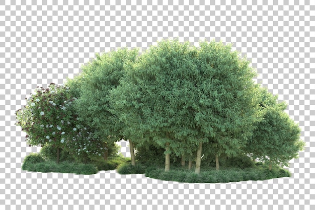 Paisaje verde aislado sobre fondo transparente ilustración de renderizado 3d