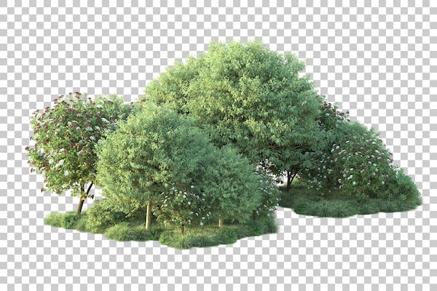Paisaje verde aislado sobre fondo transparente ilustración de renderizado 3d