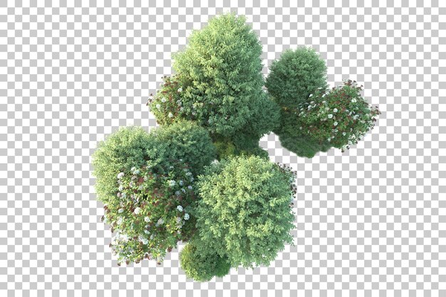 Paisaje verde aislado sobre fondo transparente ilustración de renderizado 3d