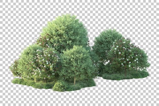 Paisaje verde aislado sobre fondo transparente ilustración de renderizado 3d