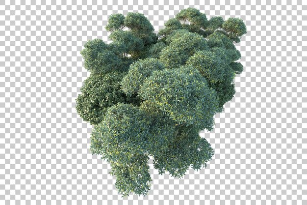 Paisaje verde aislado sobre fondo transparente ilustración de renderizado 3d