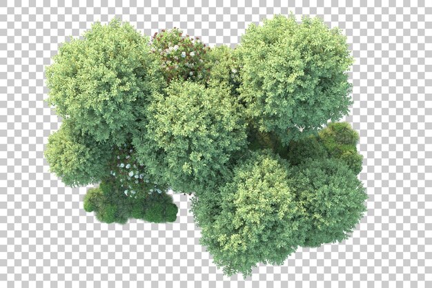 Paisaje verde aislado sobre fondo transparente ilustración de renderizado 3d