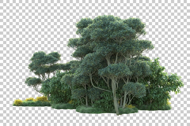 Paisaje verde aislado sobre fondo transparente ilustración de renderizado 3d