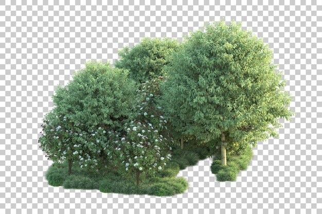 Paisaje verde aislado sobre fondo transparente ilustración de renderizado 3d