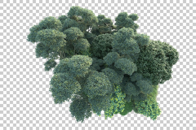 Paisaje verde aislado sobre fondo transparente ilustración de renderizado 3d