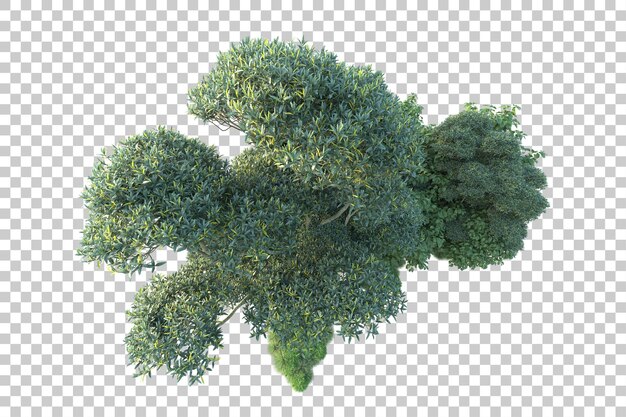 Paisaje verde aislado sobre fondo transparente ilustración de renderizado 3d