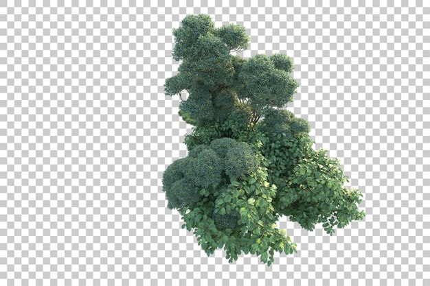 Paisaje verde aislado sobre fondo transparente ilustración de renderizado 3d