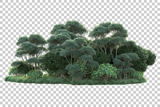 Paisaje verde aislado sobre fondo transparente ilustración de renderizado 3d