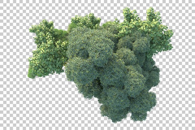 Paisaje verde aislado sobre fondo transparente ilustración de renderizado 3d
