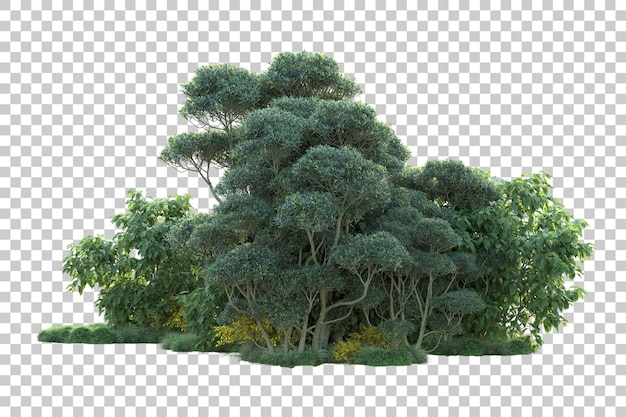 Paisaje verde aislado sobre fondo transparente ilustración de renderizado 3d
