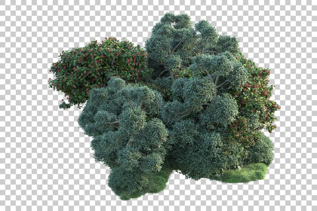 Paisaje verde aislado sobre fondo transparente ilustración de renderizado 3d