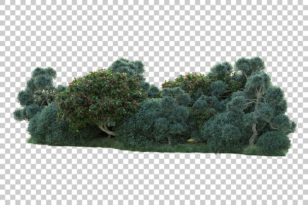 Paisaje verde aislado sobre fondo transparente ilustración de renderizado 3d