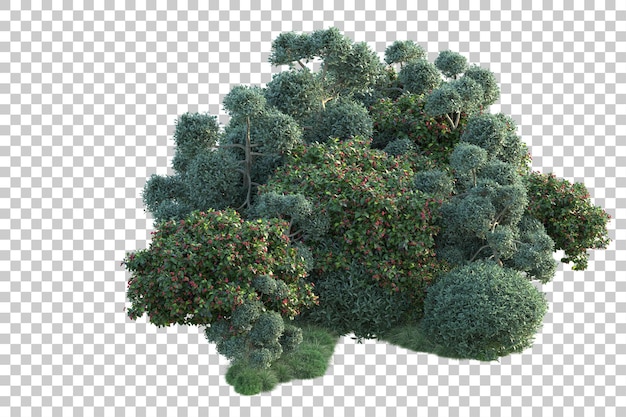 Paisaje verde aislado sobre fondo transparente ilustración de renderizado 3d