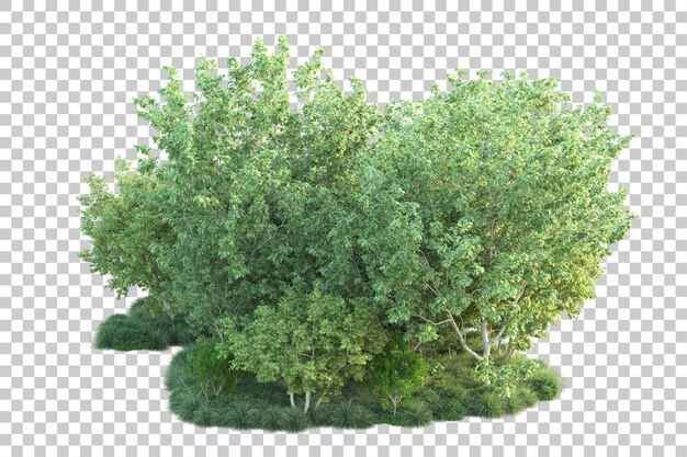 Paisaje verde aislado sobre fondo transparente ilustración de renderizado 3d