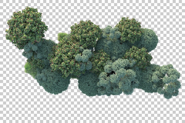 Paisaje verde aislado sobre fondo transparente ilustración de renderizado 3d