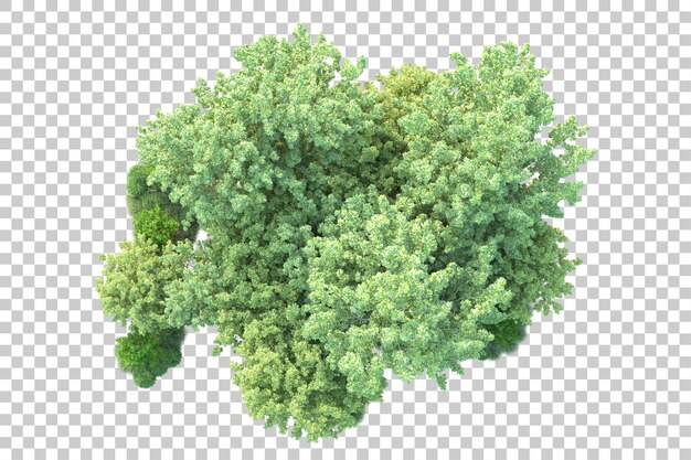 Paisaje verde aislado sobre fondo transparente ilustración de renderizado 3d