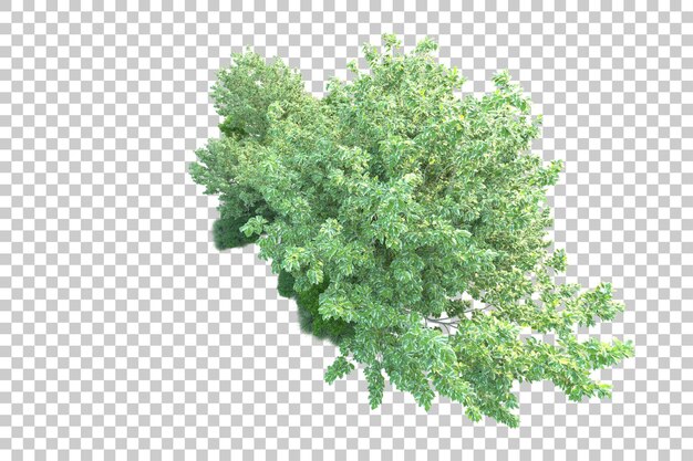 Paisaje verde aislado sobre fondo transparente ilustración de renderizado 3d