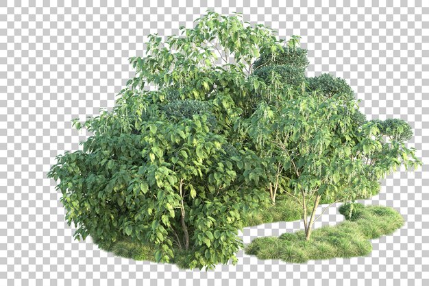 Paisaje verde aislado sobre fondo transparente ilustración de renderizado 3d