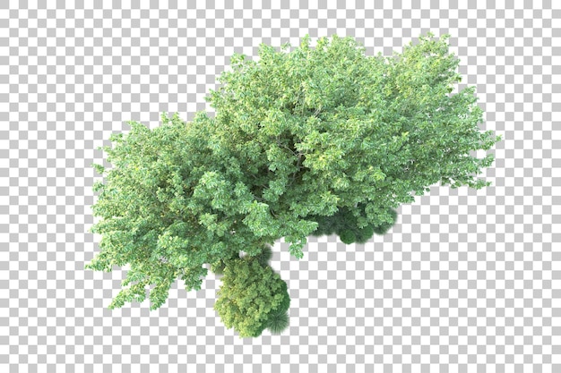 Paisaje verde aislado sobre fondo transparente ilustración de renderizado 3d