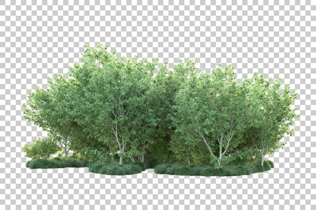 Paisaje verde aislado sobre fondo transparente ilustración de renderizado 3d