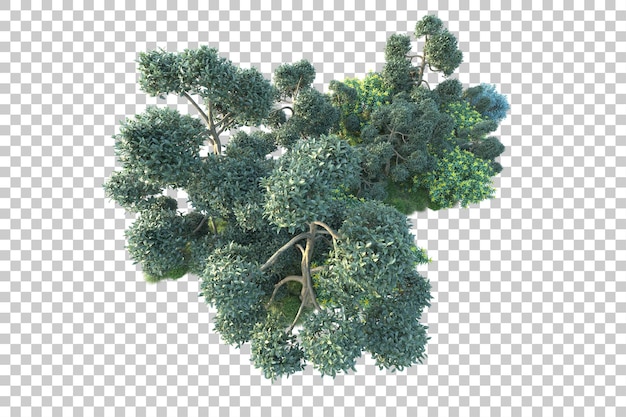 Paisaje verde aislado sobre fondo transparente ilustración de renderizado 3d