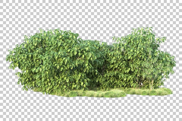 Paisaje verde aislado sobre fondo transparente ilustración de renderizado 3d