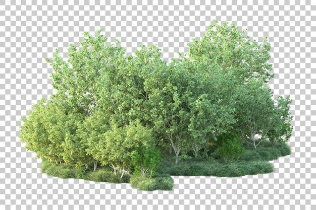 Paisaje verde aislado sobre fondo transparente ilustración de renderizado 3d
