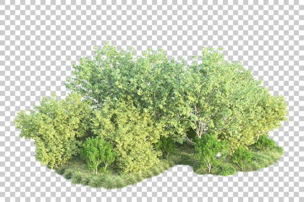 Paisaje verde aislado sobre fondo transparente ilustración de renderizado 3d