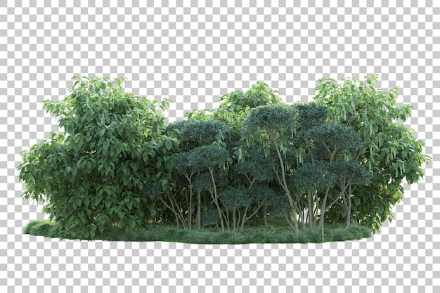 Paisaje verde aislado sobre fondo transparente ilustración de renderizado 3d