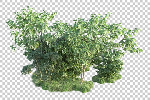 Paisaje verde aislado sobre fondo transparente ilustración de renderizado 3d