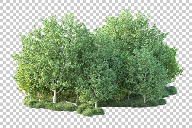 Paisaje verde aislado sobre fondo transparente ilustración de renderizado 3d
