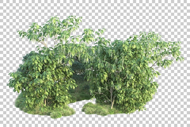 Paisaje verde aislado sobre fondo transparente ilustración de renderizado 3d