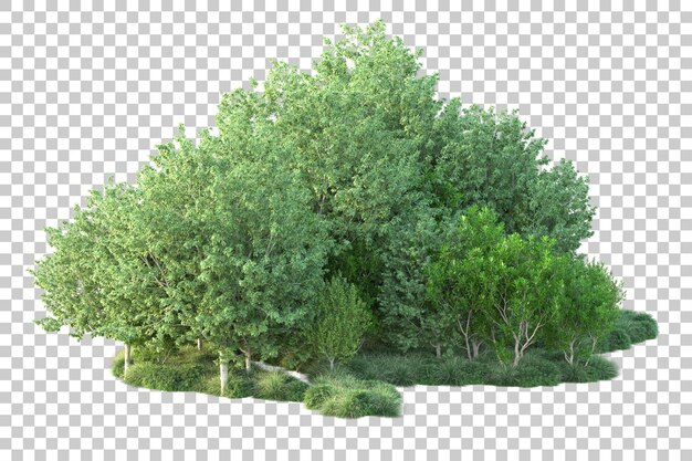 Paisaje verde aislado sobre fondo transparente ilustración de renderizado 3d