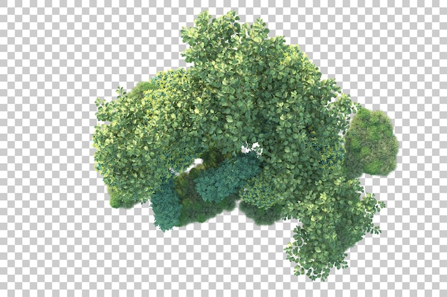 Paisaje verde aislado sobre fondo transparente ilustración de renderizado 3d
