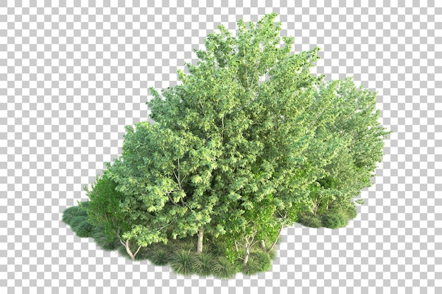 Paisaje verde aislado sobre fondo transparente ilustración de renderizado 3d