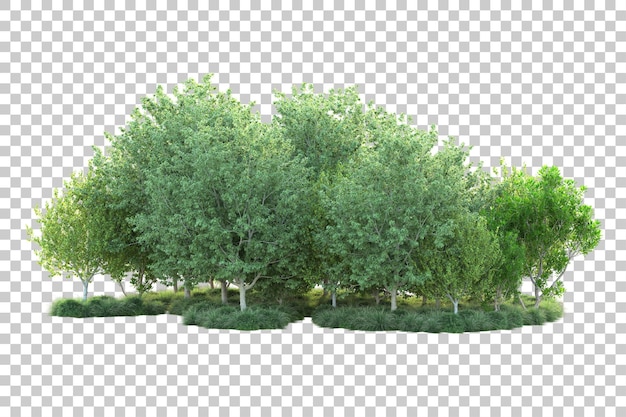 Paisaje verde aislado sobre fondo transparente ilustración de renderizado 3d