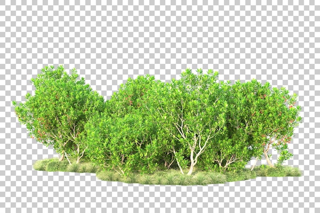 Paisaje verde aislado sobre fondo transparente ilustración de renderizado 3d