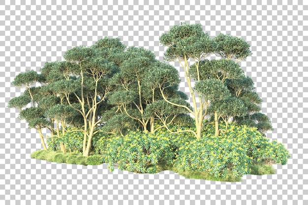 Paisaje verde aislado sobre fondo transparente ilustración de renderizado 3d
