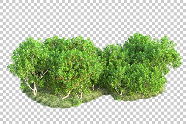 Paisaje verde aislado sobre fondo transparente ilustración de renderizado 3d