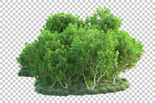 Paisaje verde aislado sobre fondo transparente ilustración de renderizado 3d