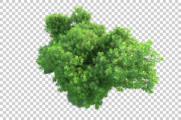 Paisaje verde aislado sobre fondo transparente ilustración de renderizado 3d