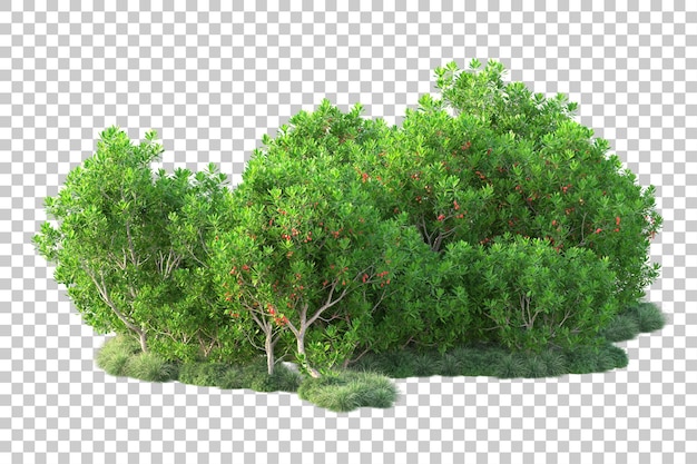 Paisaje verde aislado sobre fondo transparente ilustración de renderizado 3d