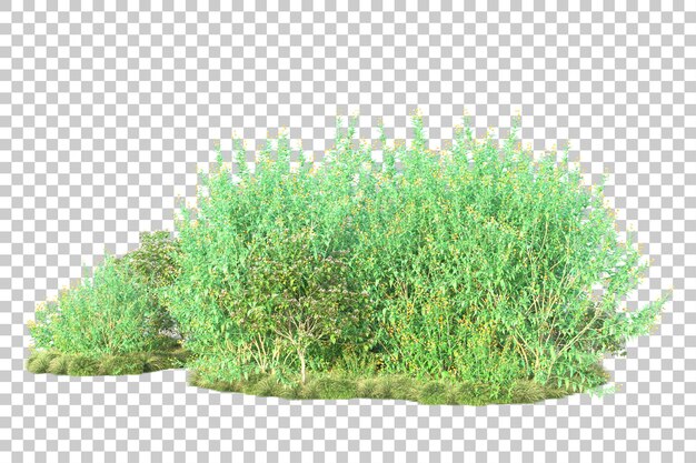 Paisaje verde aislado sobre fondo transparente ilustración de renderizado 3d