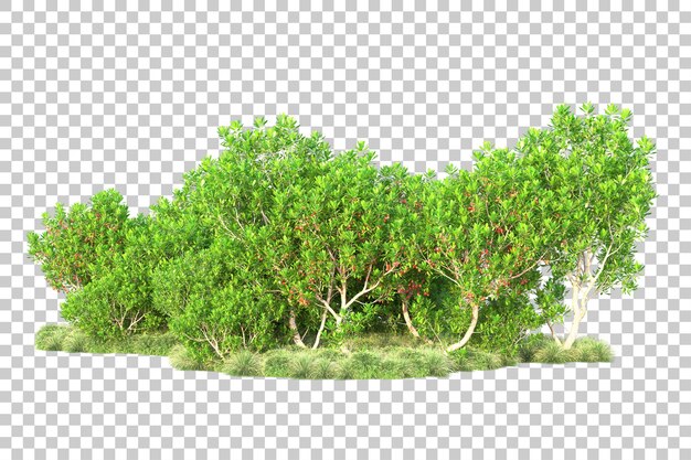 Paisaje verde aislado sobre fondo transparente ilustración de renderizado 3d