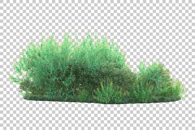 Paisaje verde aislado sobre fondo transparente ilustración de renderizado 3d